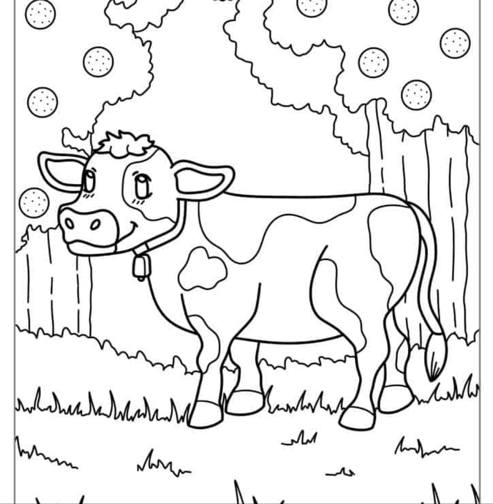 Coloring Page with Cow Design 300 Sheets